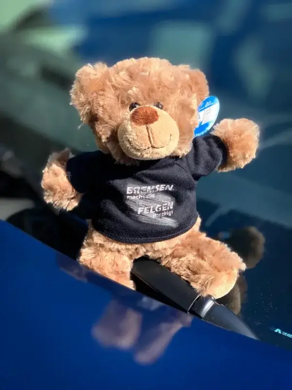 Teddybär - Bremsen macht die Felgen dreckig – Bild 2